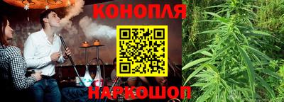 mdma Аргун